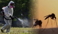 Έναρξη επεμβάσεων για καταπολέμηση κουνουπιών στο Δήμο Βεροίας.