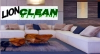 Συνεργείο καθαρισμού Lion clean. Διώξτε τα ακάρεα από το σαλόνι σας. Kαθάρισμα κουβερτών και παπλωμάτων.
